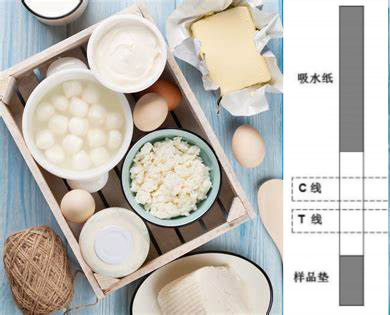 乳品專(zhuān)用氯霉素檢測試紙條