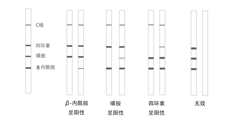 Trisensor test kit-中文細節.jpg